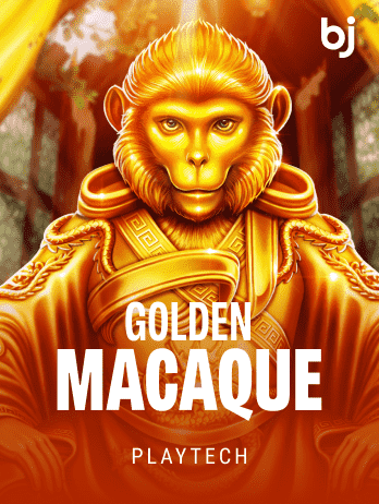Golden Macaque